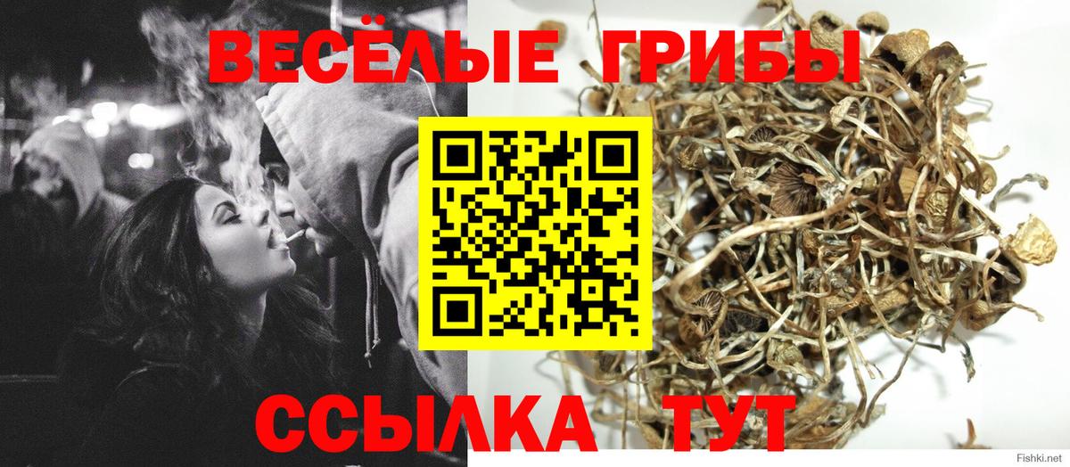 Галлюциногенные грибы Magic Shrooms  наркотики  Белогорск  Вход с VPN 