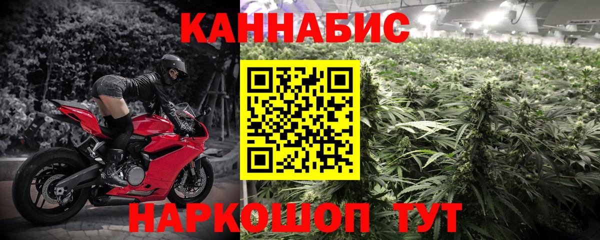Конопля планчик Белогорск